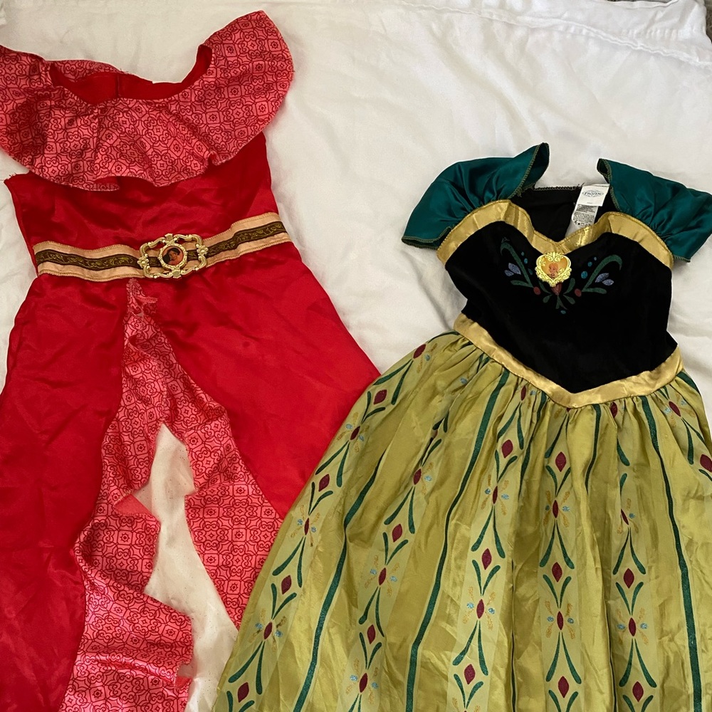 Two costumes princess (Alaina and Anna frozen )
